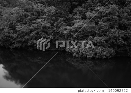 一個水庫，有樹木和水面，單色畫面。 140092822