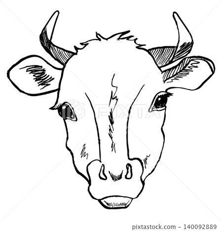 Cow head sketch hand drawn line art engraving. Farm animal vector illustration. For print design Cow head sketch hand drawn line art engraving. Farm animal vector illustration. For print design 140092889