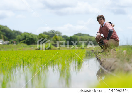 A farmer squatting on the edge of a rice paddy to check on the seedlings. A farmer squatting on the edge of a rice paddy to check on the seedlings. 140092894