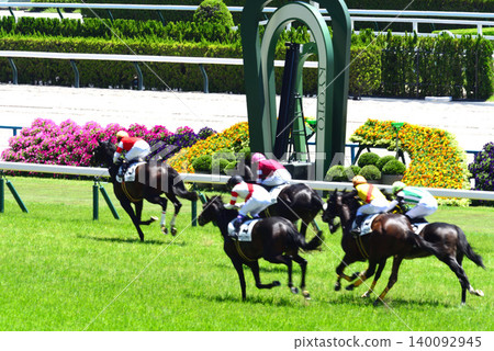 Kyoto Racecourse straight and finish line Kyoto Racecourse straight and finish line 140092945