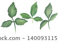 Watercolor set greenery floral rose leaf plant on a white background. Hand-drawn illustrations for invitations, print, and textiles. 140093115