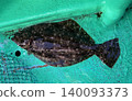 flounder 140093373