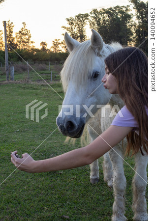 Teenager girl taking a selfie with a loving white horse, enjoying summer outdoor activities and a special bond in the countryside at sunset Teenager girl taking a selfie with a loving white horse, enjoying summer outdoor activities and a special bond in the countryside at sunset 140094652