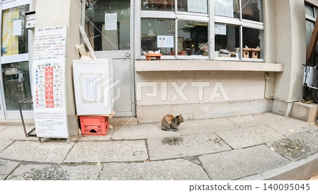A cute cat can be seen standing in front of the shrine office at Inari Kio Shrine in Tokyo. A cute cat can be seen standing in front of the shrine office at Inari Kio Shrine in Tokyo. 140095045