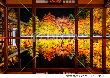 群馬縣寶德寺地面上被燈光照亮的秋葉。 群馬縣寶德寺地面上被燈光照亮的秋葉。 140095088