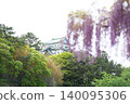 Nagoya Castle's keep and wisteria blossoms 140095306
