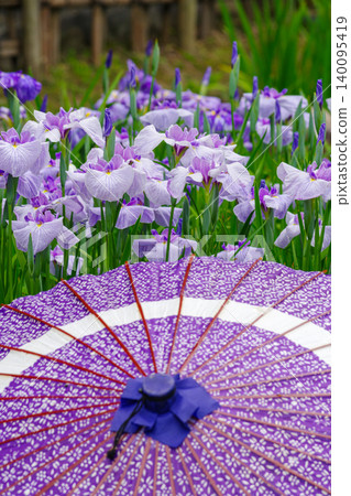 紫鳶尾花點綴著一把日式雨傘 140095419