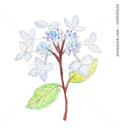 手繪繡球花 手繪繡球花 140095629