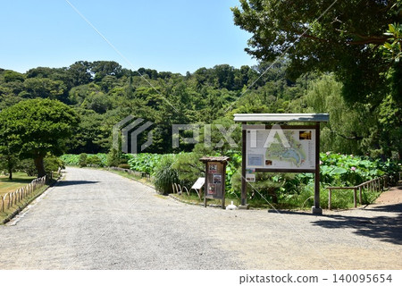 橫濱市:三溪園的荷花池、步道、旅遊資訊卡和藍天。 橫濱市:三溪園的荷花池、步道、旅遊資訊卡和藍天。 140095654