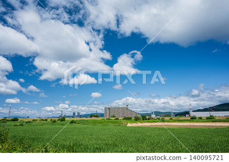 Udono reed field, Takatsuki City, Osaka Prefecture Udono reed field, Takatsuki City, Osaka Prefecture 140095721