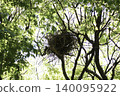 Bird nests amidst the fresh greenery 140095922