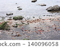 The sea and rocks in May 140096058