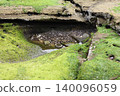 Moss-covered rocks on the coast 140096059