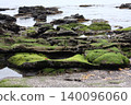 Moss-covered rocks and the sea 140096060