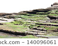 Moss-covered rocks forming steps along the coast 140096061