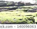 Moss-covered rocks on the coast 140096063