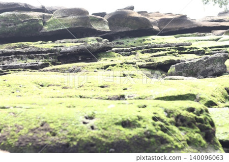 Moss-covered rocks on the coast Moss-covered rocks on the coast 140096063