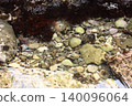Coastal rocks and shells 140096064