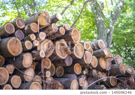 Logs that have been felled; wood-burning stove; firewood; biomass Logs that have been felled; wood-burning stove; firewood; biomass 140096246