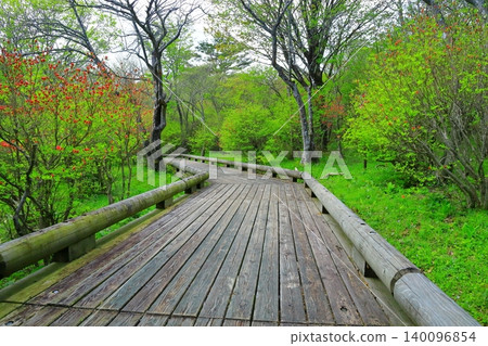 Nasu Highlands Hachiman Azalea Colony Nasu Highlands Hachiman Azalea Colony 140096854