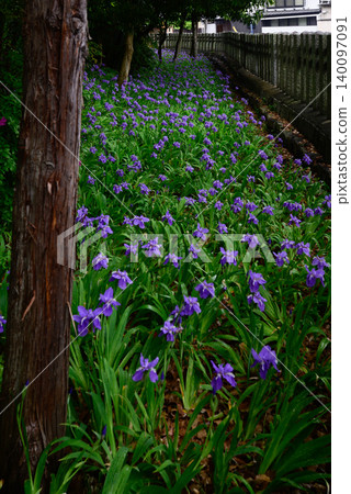 Kamigoryo Shrine (Gosei Shrine) First Kamigoryo Shrine (Gosei Shrine) First 140097091