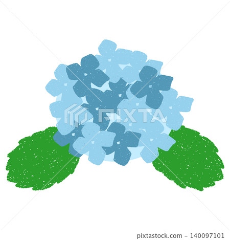 手繪藍色繡球花插圖 手繪藍色繡球花插圖 140097101