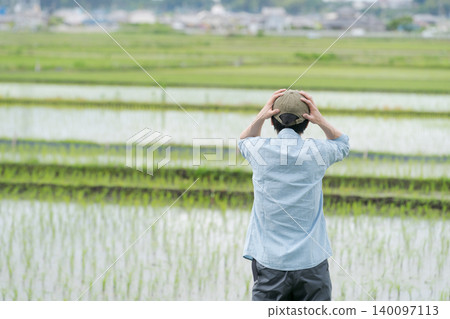 The back view of a farmer looking dejected in a rice field. The back view of a farmer looking dejected in a rice field. 140097113