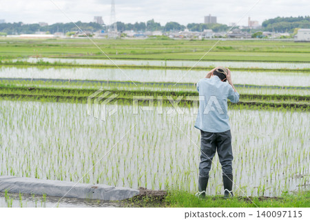 稻田裡,一位農民背對著鏡頭,神情沮喪。 稻田裡,一位農民背對著鏡頭,神情沮喪。 140097115