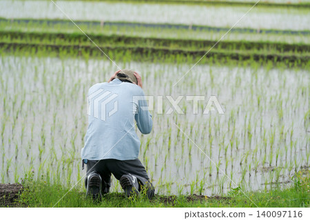 稻田裡,一位農民背對著鏡頭,神情沮喪。 稻田裡,一位農民背對著鏡頭,神情沮喪。 140097116