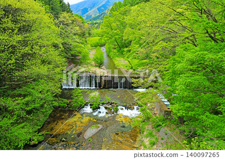 日光市湯西川栗山森林公園 日光市湯西川栗山森林公園 140097265