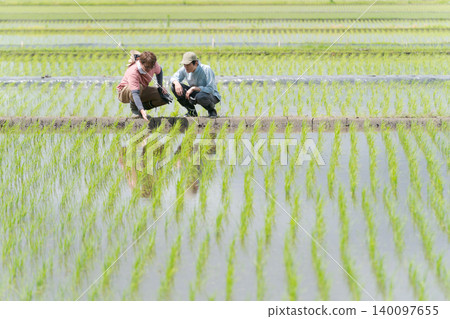 為水稻種植提供指導的農民 為水稻種植提供指導的農民 140097655
