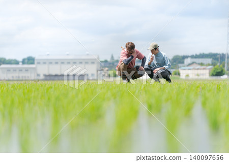 為水稻種植提供指導的農民 為水稻種植提供指導的農民 140097656