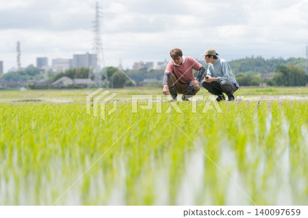 為水稻種植提供指導的農民 140097659