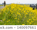 Spring rape blossoms and road bikes adorn the Irumagawa Cycling Road. 140097661