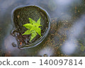 Green leaves floating on water 140097814