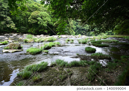 Sekinoo Waterfall Tsubaki group 140099004