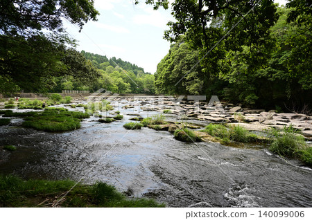 Sekinoo Waterfall Tsubaki group Sekinoo Waterfall Tsubaki group 140099006