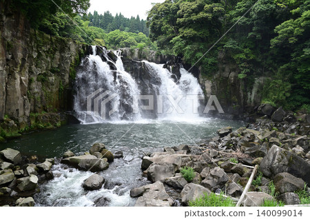 Sekinoo Waterfall Tsubaki group Sekinoo Waterfall Tsubaki group 140099014
