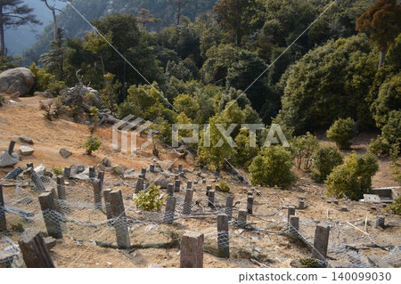 A grave in the mountains A grave in the mountains 140099030