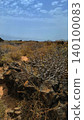 Wide view of Lanzarote desert landscape with volcanic hills and stark island beauty 140100083