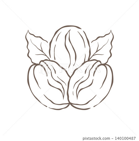 A Group Of Three Roasted Coffee Beans With A Leaf Vector Illustration A Group Of Three Roasted Coffee Beans With A Leaf Vector Illustration 140100487
