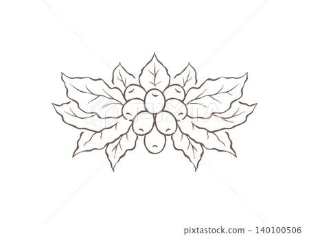 A Symmetrical Coffee Plant Branch With Berries And Leaves Vector Illustration 140100506