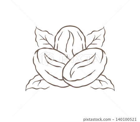 An Emblem Of Two Coffee Beans With A Background Of Leaves Vector Illustration An Emblem Of Two Coffee Beans With A Background Of Leaves Vector Illustration 140100521
