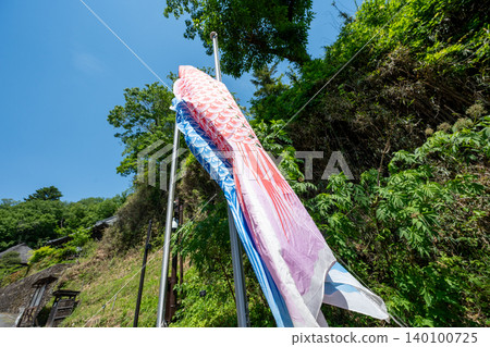 A weak carp streamer A weak carp streamer 140100725