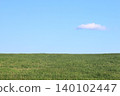 Early summer in Hokkaido: Grassy hills and blue sky 140102447