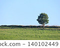 Early summer in Hokkaido: Trees standing on a grassy hill and the blue sky. 140102449