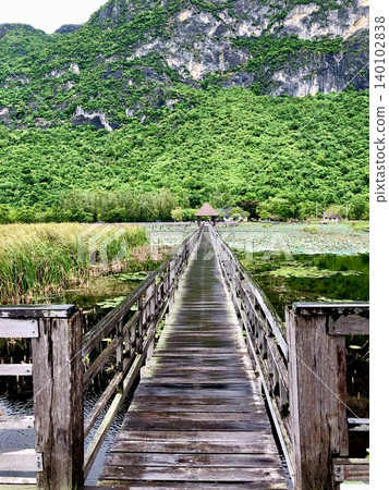 A breathtaking view of a national park rich in nature: a long wooden bridge crossing a vast lotus pond surrounded by mountains. A breathtaking view of a national park rich in nature: a long wooden bridge crossing a vast lotus pond surrounded by mountains. 140102838