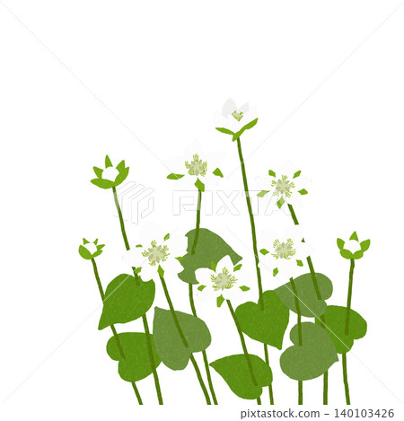Hand-drawn flower illustration: Plum blossom 140103426