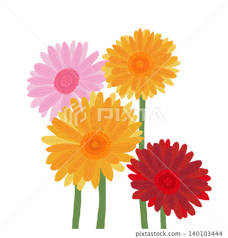 Hand-drawn flower illustration: Gerbera 140103444
