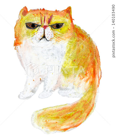 異國短毛貓插圖 140103490